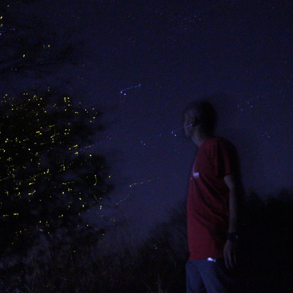 Photo of Amazing Trip by Vedant Shukla