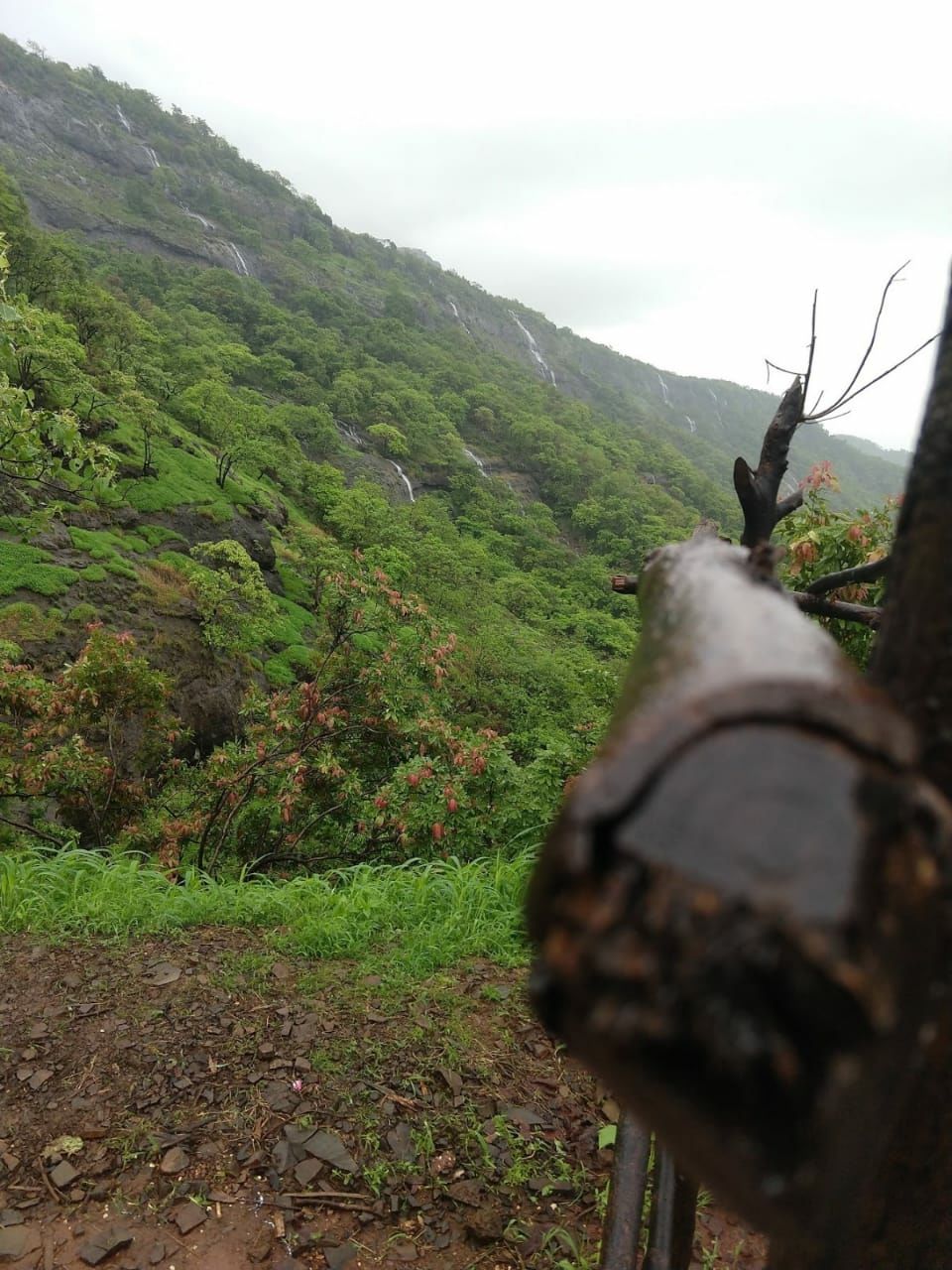 Photo of Kalavantin Durg Trek, Panvel, Prabalmachi, Maharashtra, India by Omkar Kule