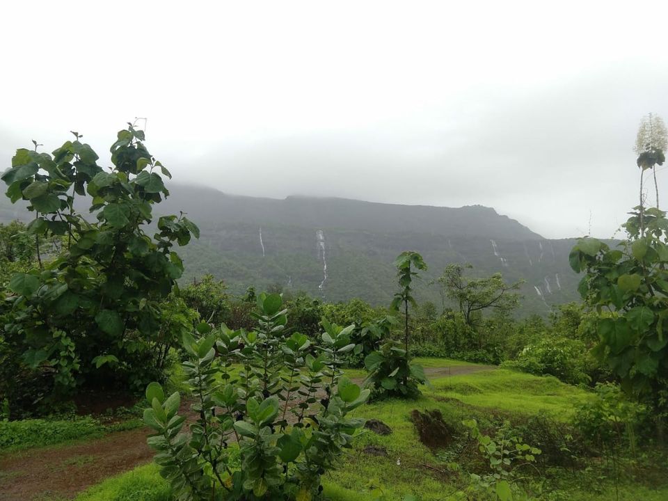 Photo of Kalavantin Durg Trek, Panvel, Prabalmachi, Maharashtra, India by Omkar Kule
