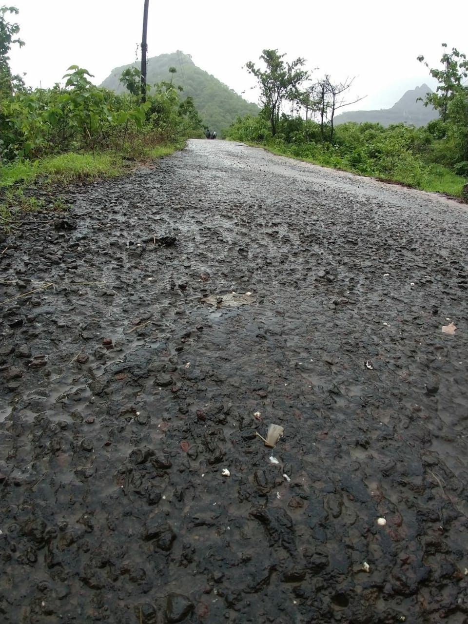 Photo of Kalavantin Durg Trek, Panvel, Prabalmachi, Maharashtra, India by Omkar Kule