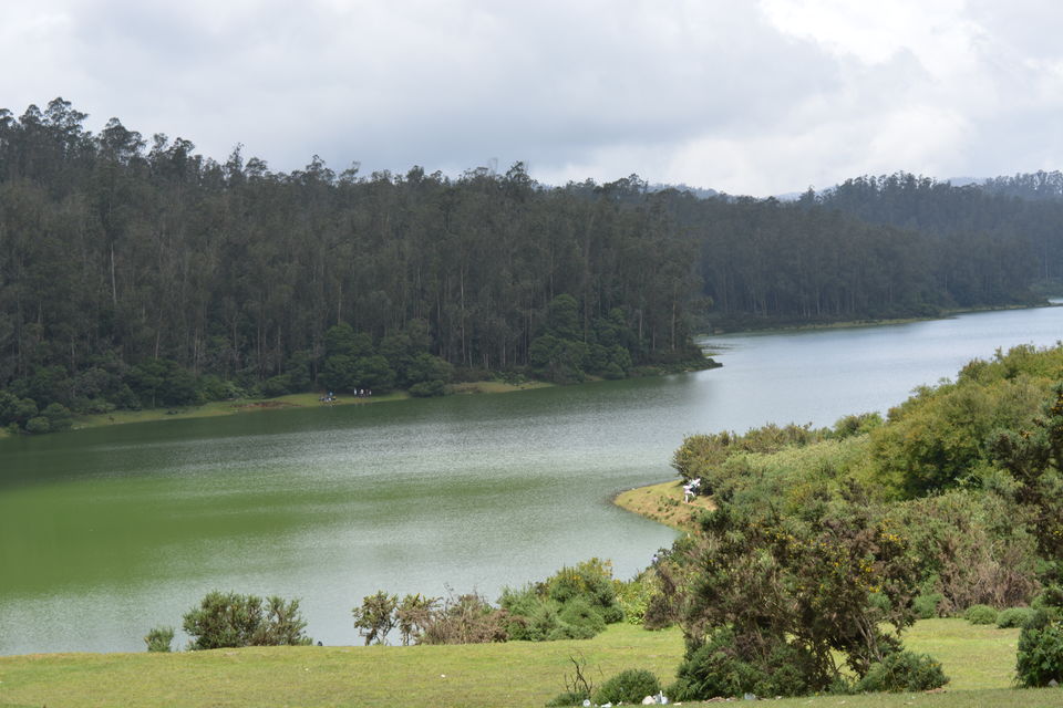 Photo of Ooty - Queen of Nilgiris 7/11 by Smruti