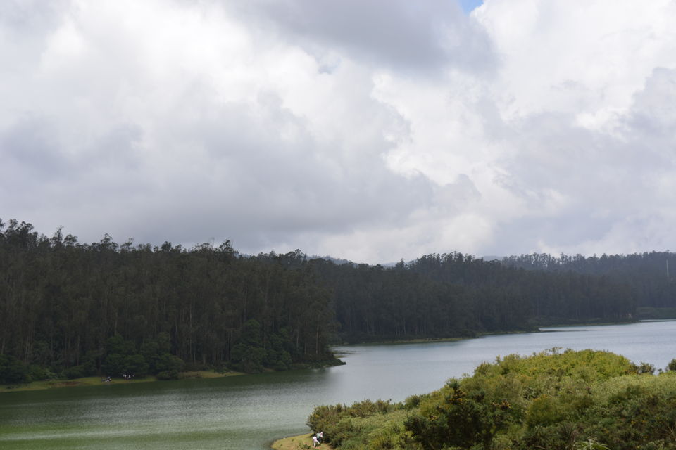 Photo of Ooty - Queen of Nilgiris 8/11 by Smruti