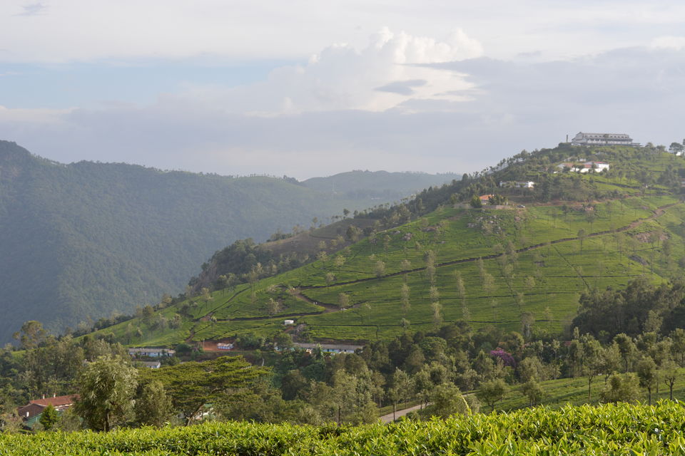 Photo of Ooty - Queen of Nilgiris 10/11 by Smruti