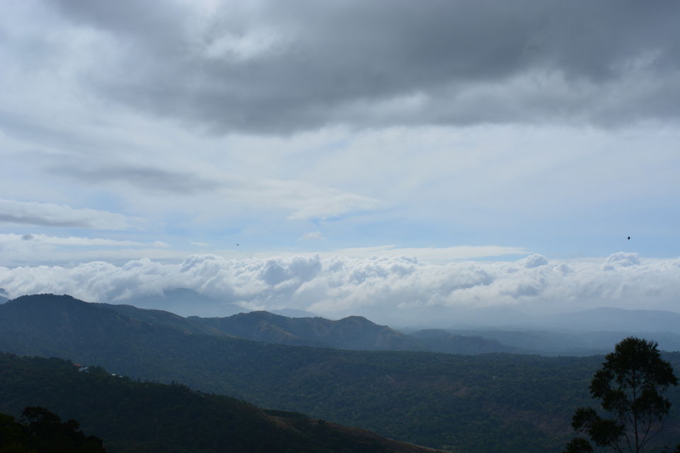 Photo of Munnar, Kerala, India by Smruti