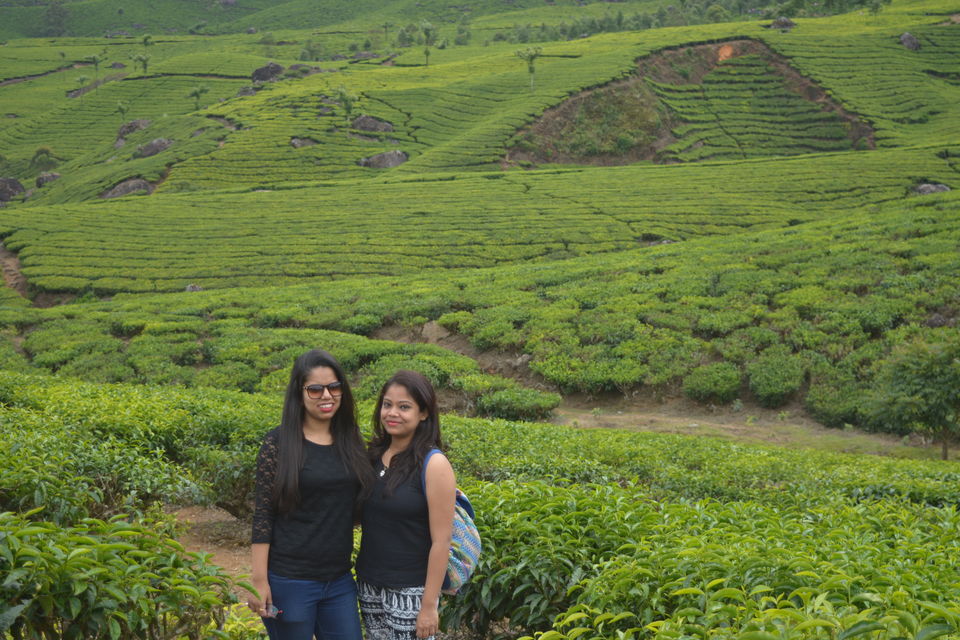 Photo of Munnar, Kerala, India by Smruti