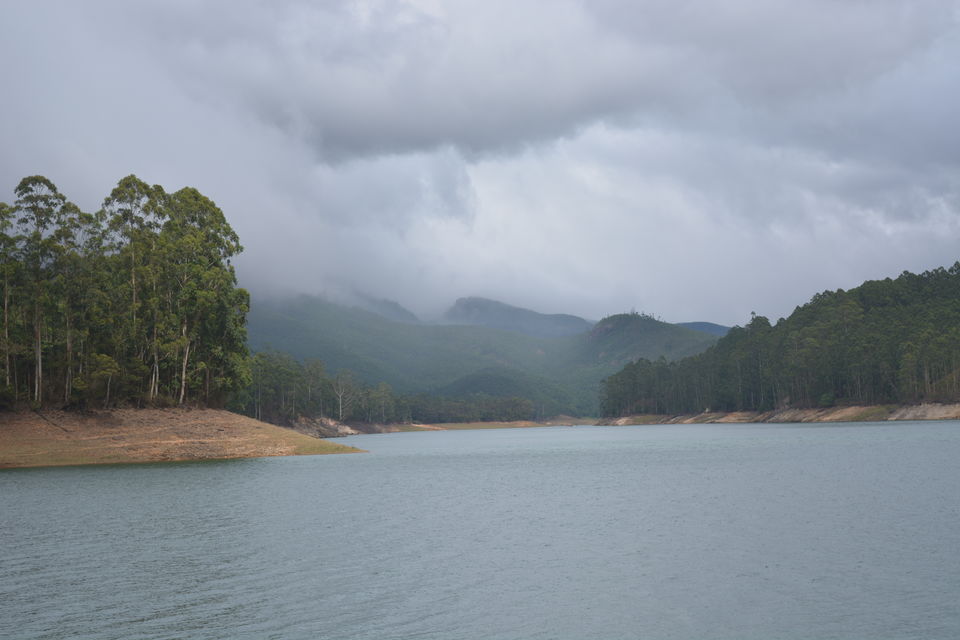 Photo of Munnar, Kerala, India by Smruti