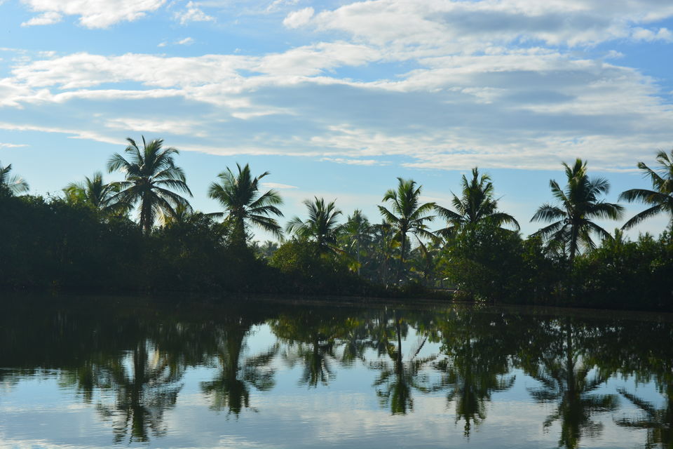 Photo of Munroe Island, Kerala, India by Smruti