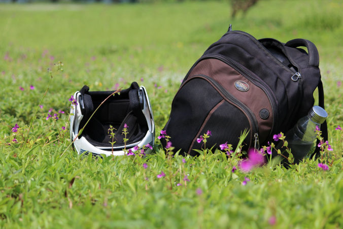 Photo of Road trip to Maharashtra’s valley of flowers – Kaas Plateau 6/23 by Jay Shah
