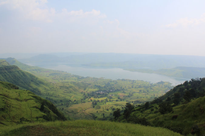 Photo of Road trip to Maharashtra’s valley of flowers – Kaas Plateau 21/23 by Jay Shah