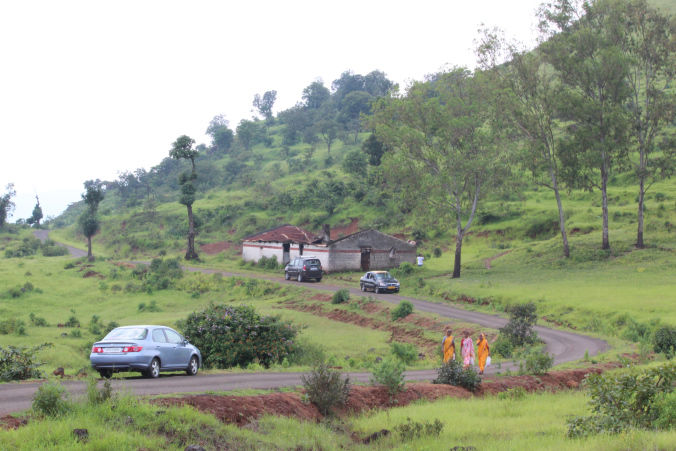 Photo of Road trip to Maharashtra’s valley of flowers – Kaas Plateau 22/23 by Jay Shah
