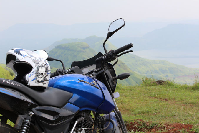 Photo of Road trip to Maharashtra’s valley of flowers – Kaas Plateau 23/23 by Jay Shah