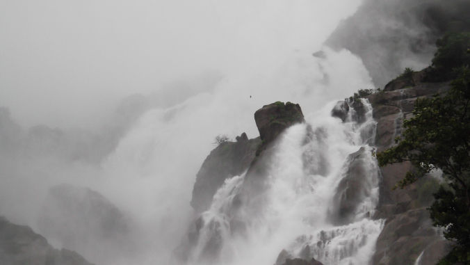 Photo of Dudhsagar Waterfalls – The Wild White Beauty 21/27 by Jay Shah