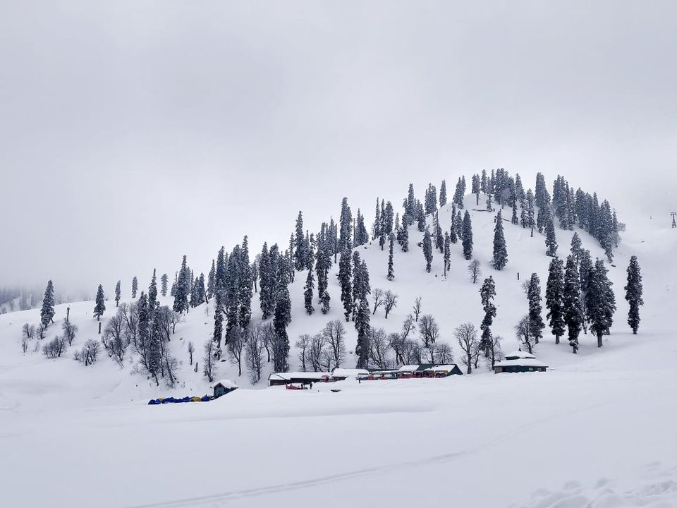 Photo of The LITERAL paradise - Kashmir :) by NIDHI AGARWAL