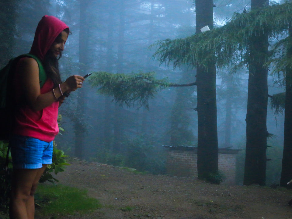 Photo of Heaven Can Be Trekked - Triund Happened by Shajin P