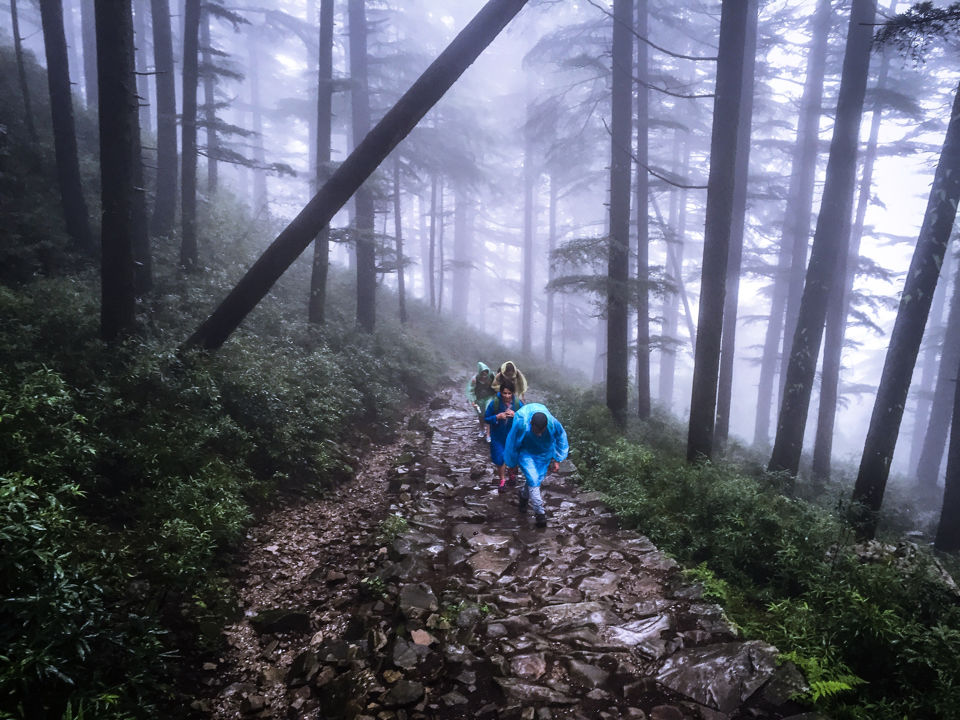 Photo of Triund by Shajin P
