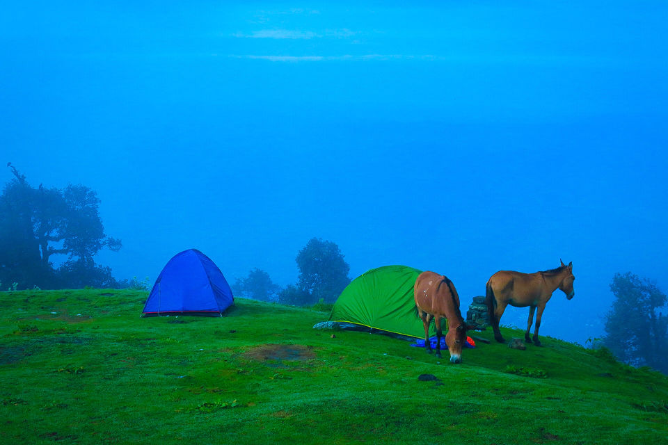Photo of Triund by Shajin P