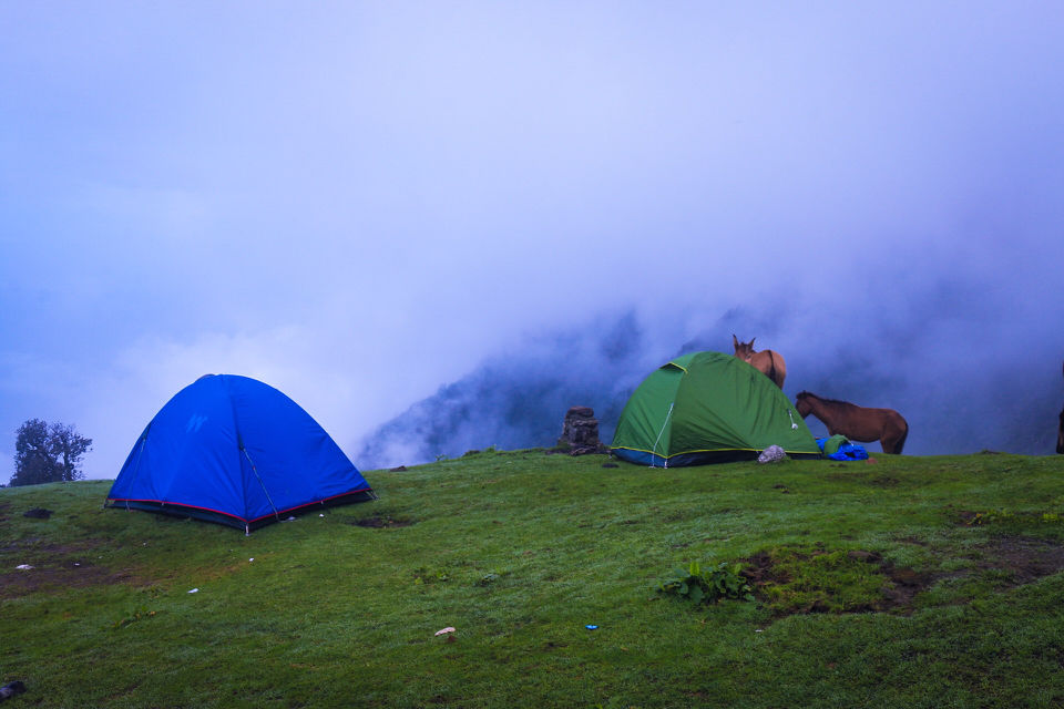 Photo of Triund by Shajin P