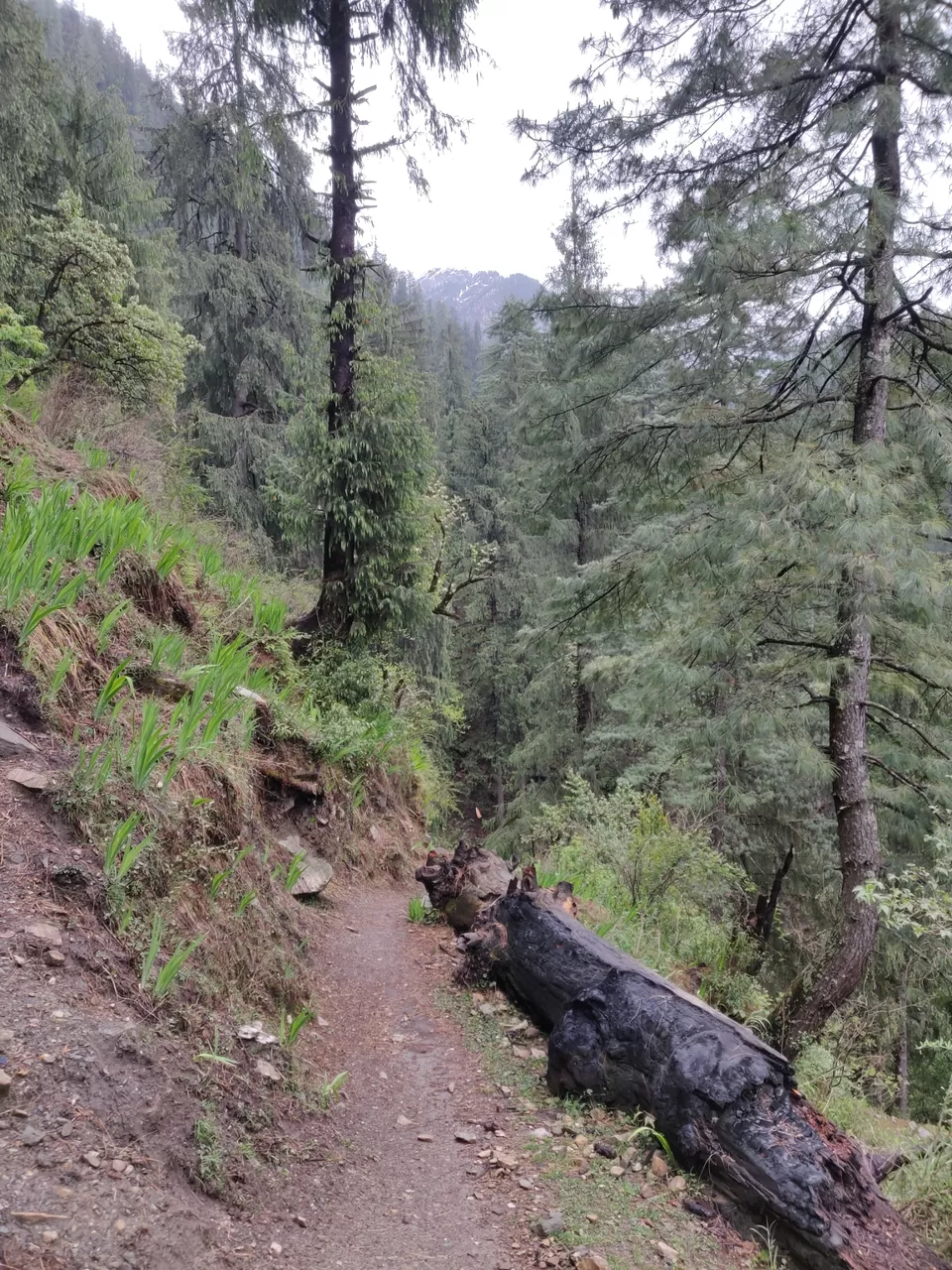 Photo of Trek to this beautiful village uphill, away from the crowd in Kasol by Joseph Varkey