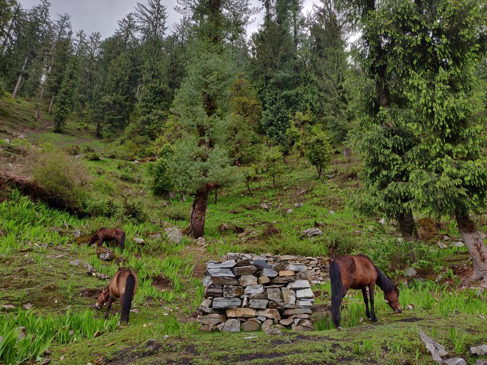 Photo of Trek to this beautiful village uphill, away from the crowd in Kasol by Joseph Varkey