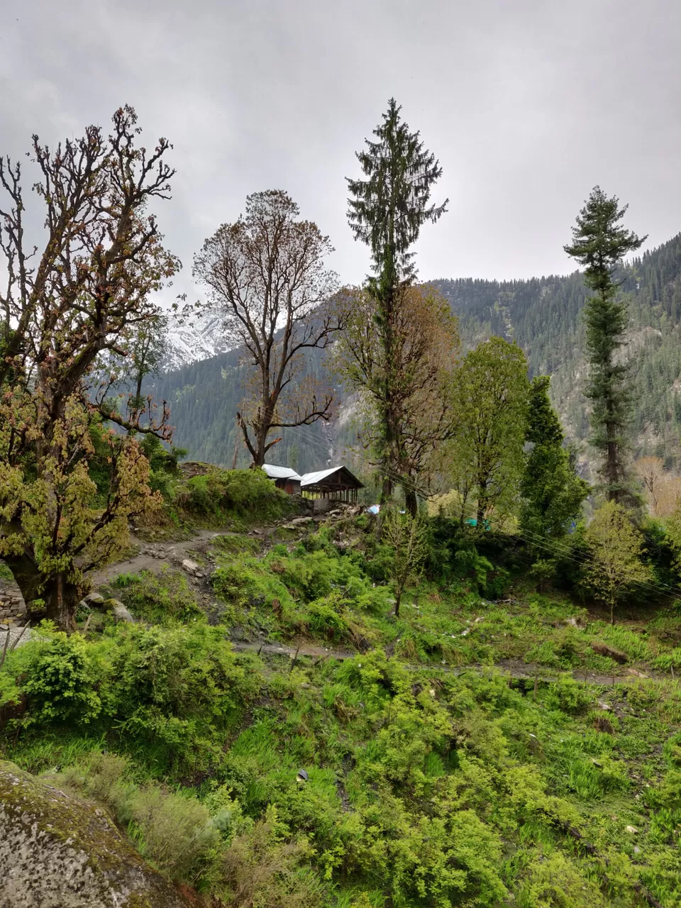 Photo of Trek to this beautiful village uphill, away from the crowd in Kasol by Joseph Varkey