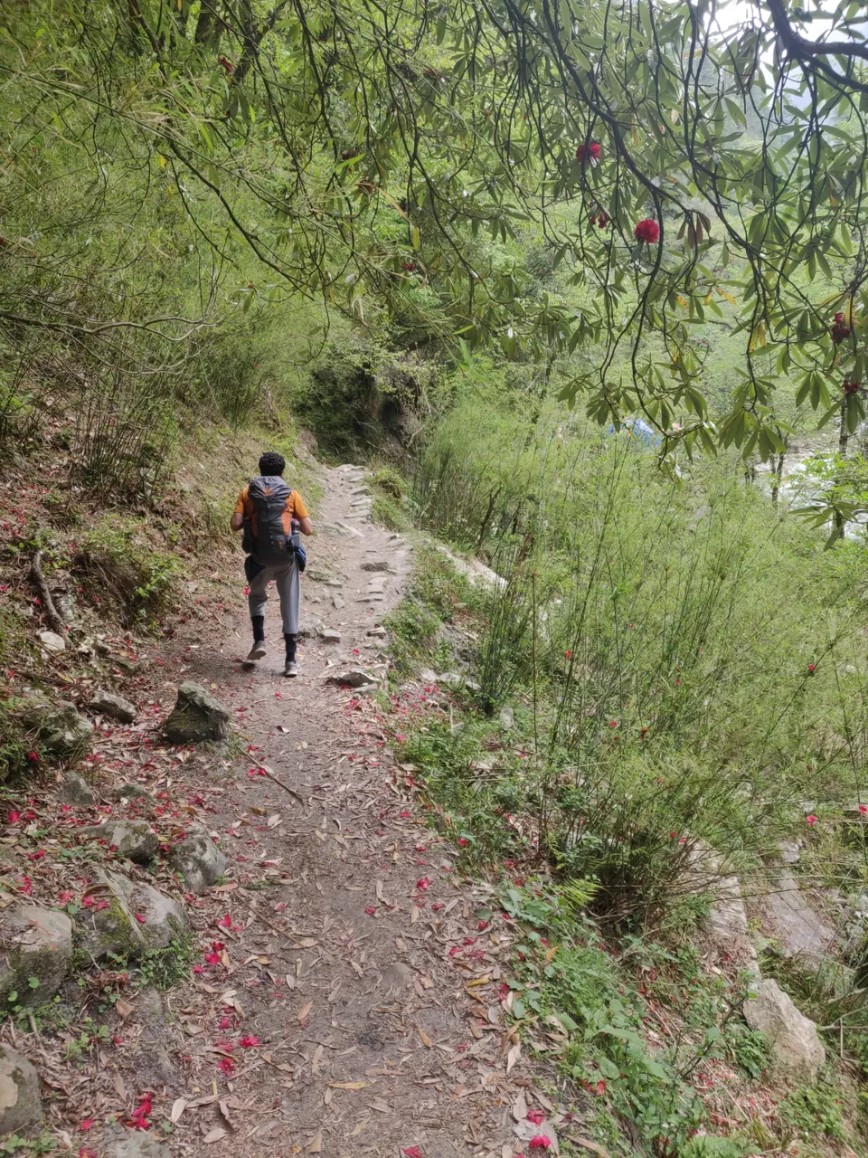 Photo of Kasol, Himachal Pradesh, India by Joseph Varkey