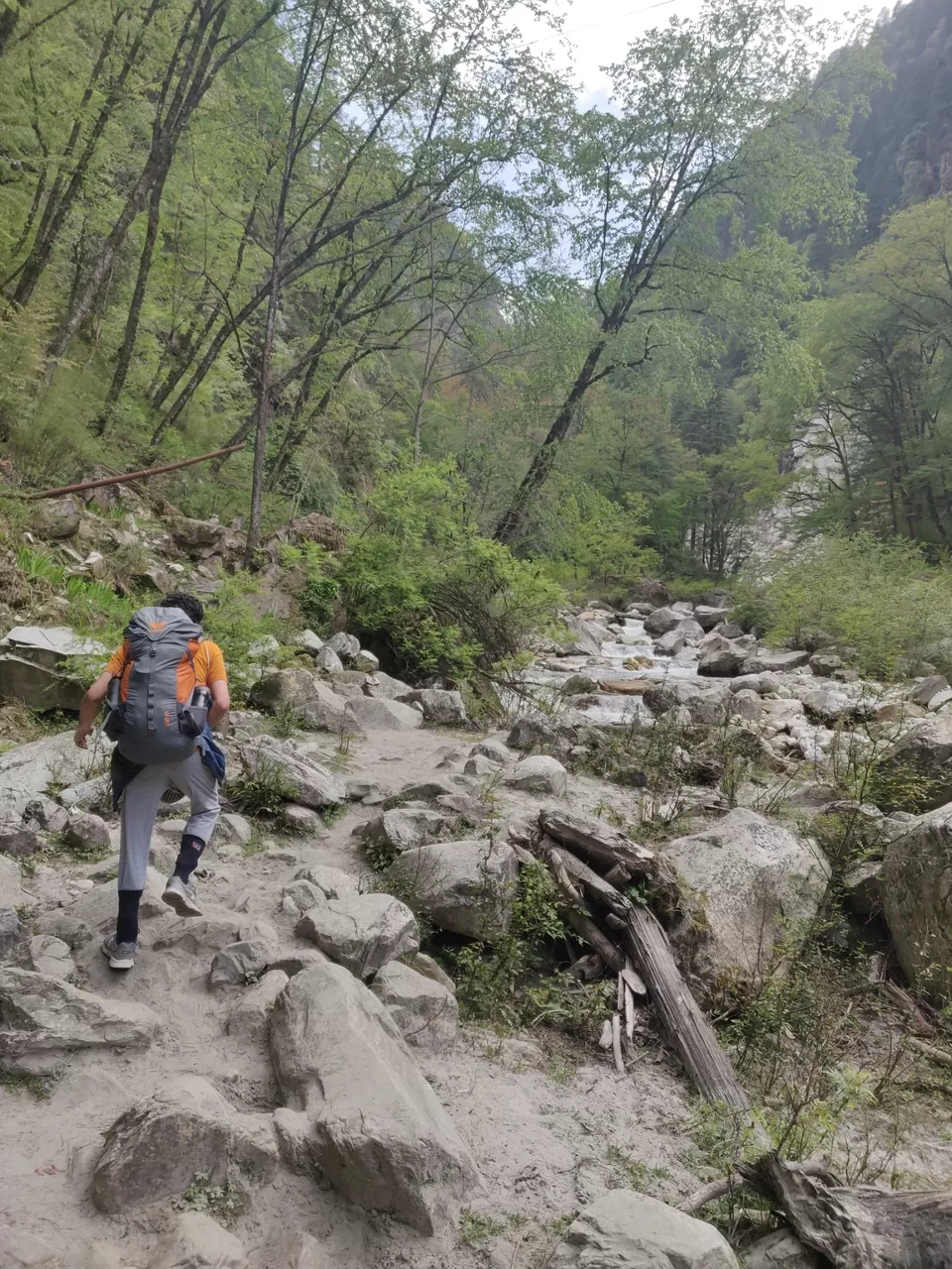 Photo of Kasol, Himachal Pradesh, India by Joseph Varkey