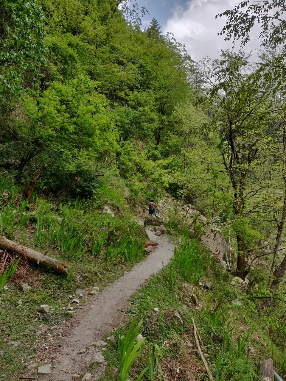 Photo of Kasol, Himachal Pradesh, India by Joseph Varkey