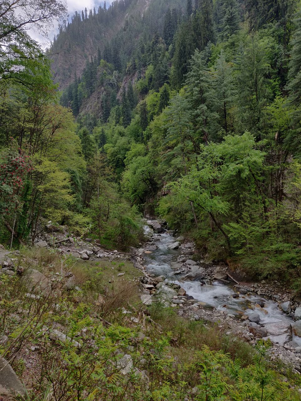 Photo of Kasol, Himachal Pradesh, India by Joseph Varkey
