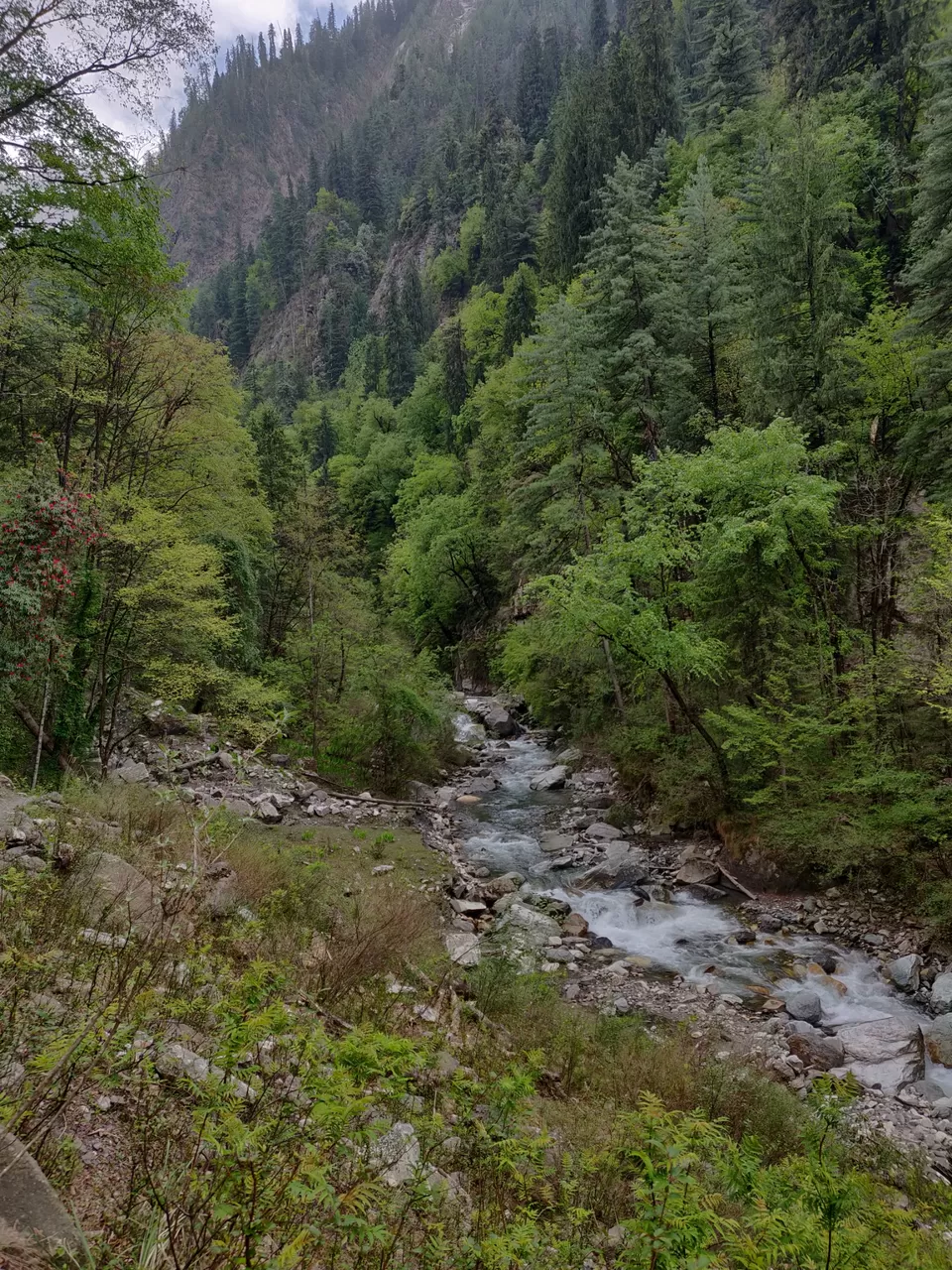 Photo of Kasol, Himachal Pradesh, India by Joseph Varkey
