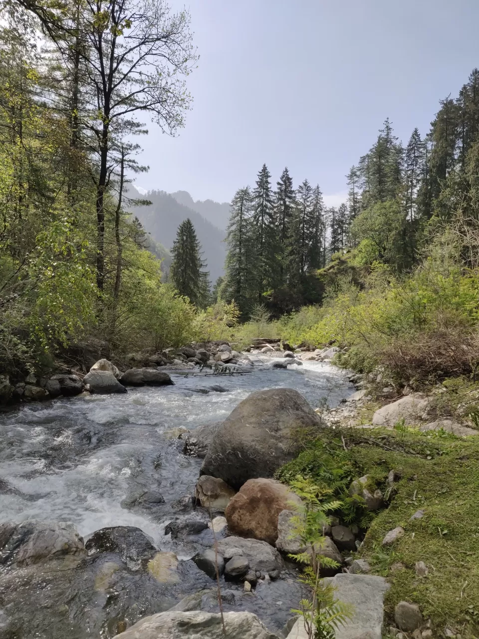 Photo of Kasol, Himachal Pradesh, India by Joseph Varkey