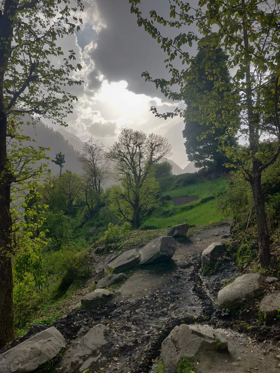 Photo of Kasol, Himachal Pradesh, India by Joseph Varkey