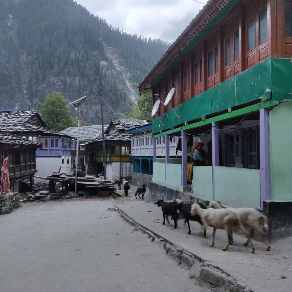 Photo of Kasol, Himachal Pradesh, India by Joseph Varkey