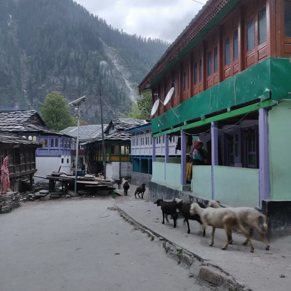 Photo of Kasol, Himachal Pradesh, India by Joseph Varkey