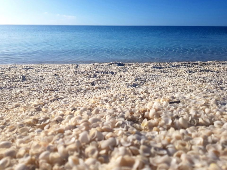 Photo of Shell Beach Conservation Park, Francois Peron National Park WA, Australia by Ella