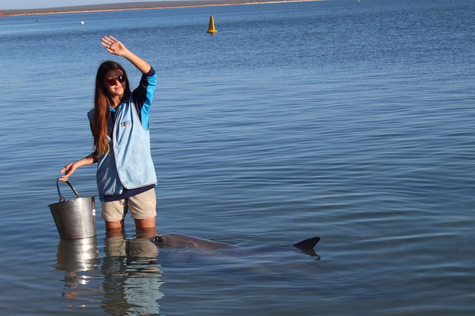 Photo of RAC Monkey Mia Dolphin Resort, Monkey Mia Road, Monkey Mia WA, Australia by Ella