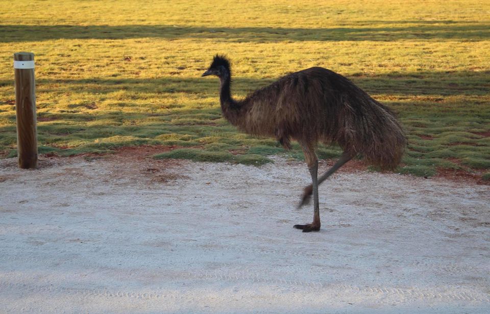 Photo of Western Australia - Perth to Exmouth and return Tour. Amazing 7 Day journey with Autopia Tours! by Ella