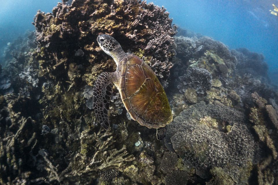 Photo of Coral Bay WA, Australia by Ella
