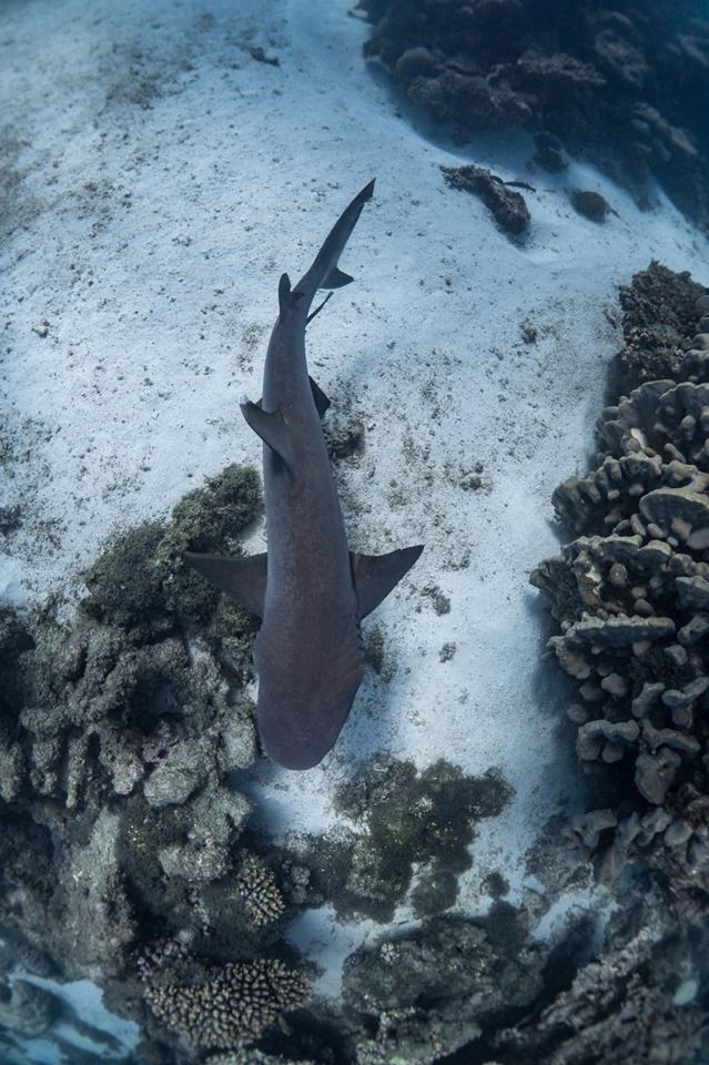 Photo of Coral Bay WA, Australia by Ella