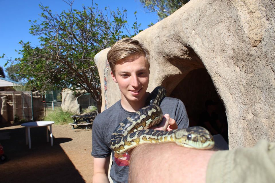 Photo of Greenough Wildlife and Bird Park, Company Road, Greenough WA, Australia by Ella