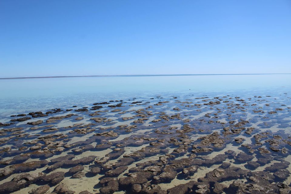 Photo of Western Australia - Perth to Exmouth and return Tour. Amazing 7 Day journey with Autopia Tours! by Ella