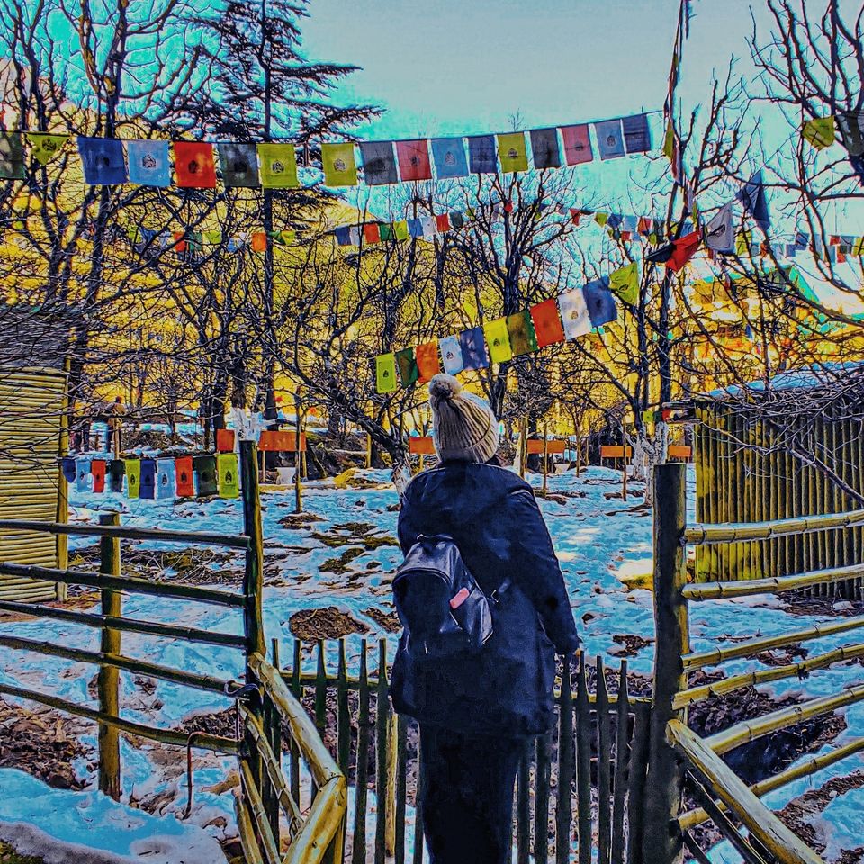 Photo of Hidden gem of Manali #hiddengem by mansi awasthi