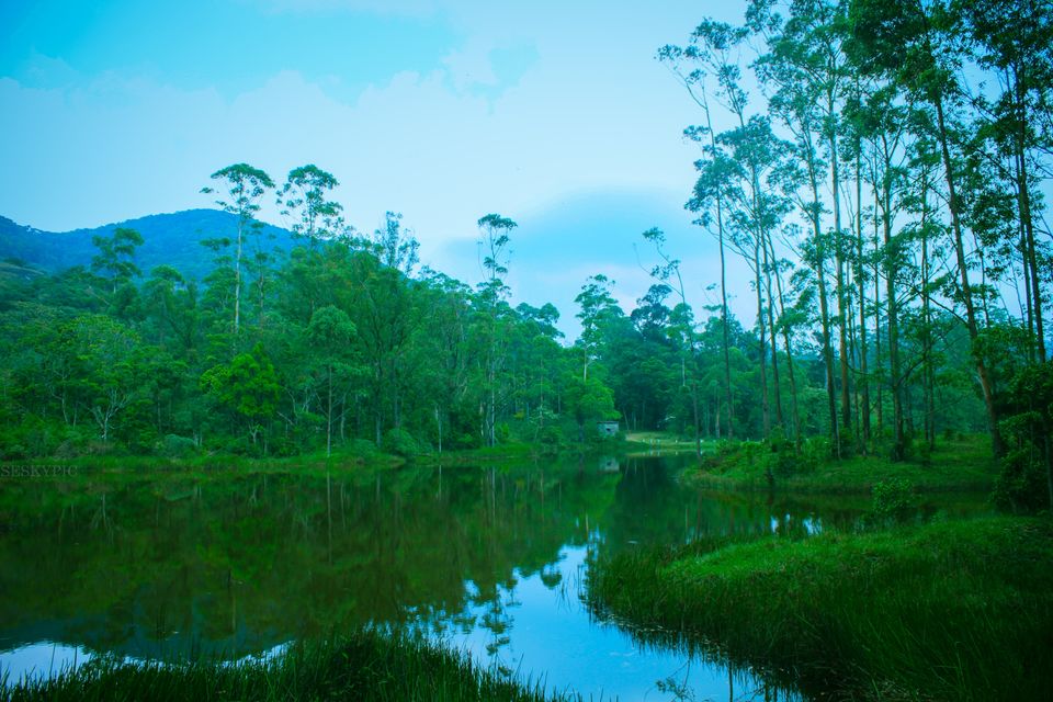 Photo of Manjolai, Tamil Nadu, India by Sesky Kiddo