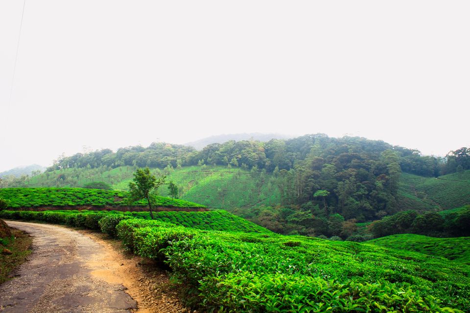 Photo of Manjolai, Tamil Nadu, India by Sesky Kiddo
