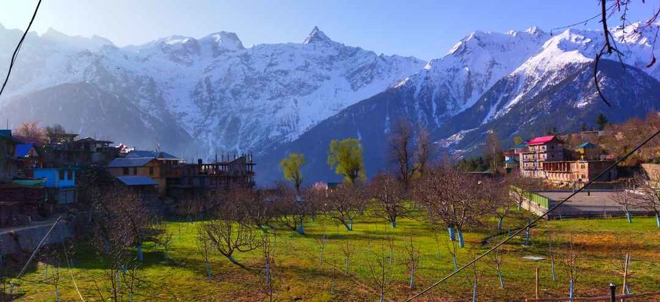 Photo of Kalpa-Narkanda:First trip post birth of Covid19 by Sudhir