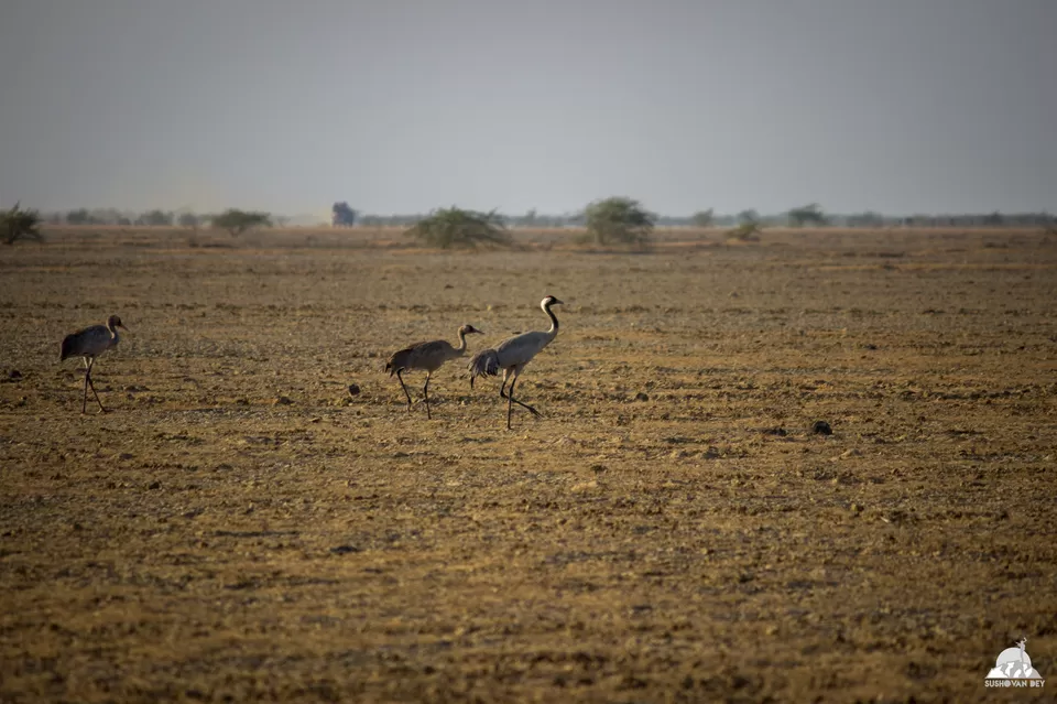 Photo of Two honeymooners and one bike in Kutch by JourneyJournals