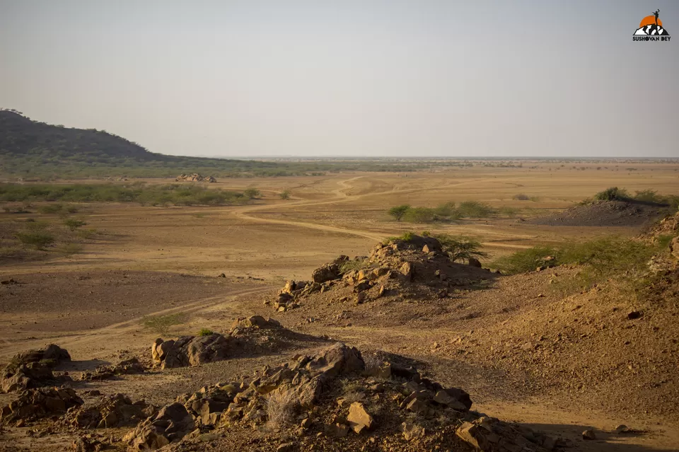 Photo of Two honeymooners and one bike in Kutch by JourneyJournals
