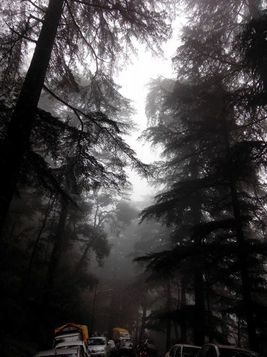 Photo of Why Mcleodganj makes me hungry and happy 2/14 by Geetanjali