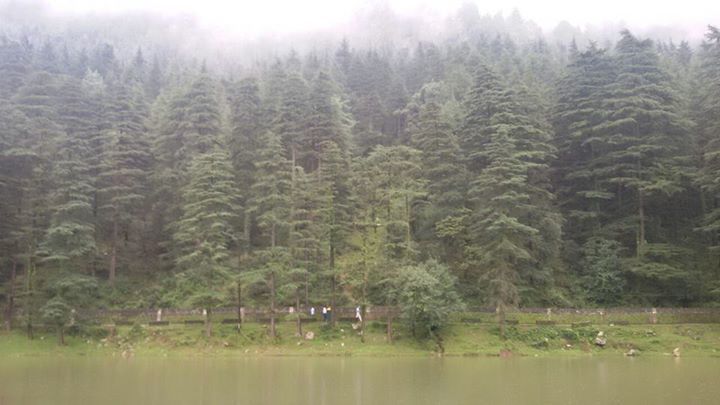 Photo of Why Mcleodganj makes me hungry and happy 6/14 by Geetanjali