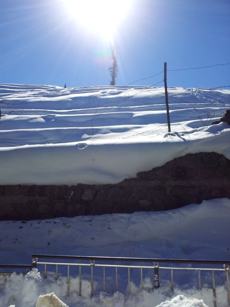 Photo of My first experience with Snow-the wonder of it all..at Shimla 2/17 by Geetanjali