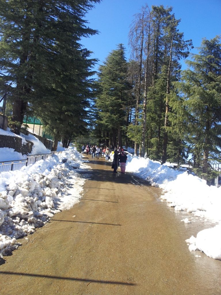 Photo of My first experience with Snow-the wonder of it all..at Shimla 3/17 by Geetanjali